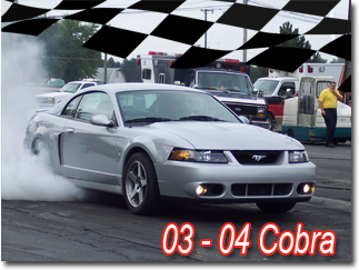 03-04 Cobra